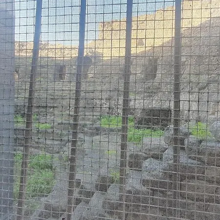 Domus Odeon La Casa Nel Parco Archeologico Di *